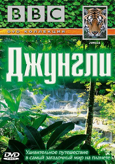 BBC: Джунгли