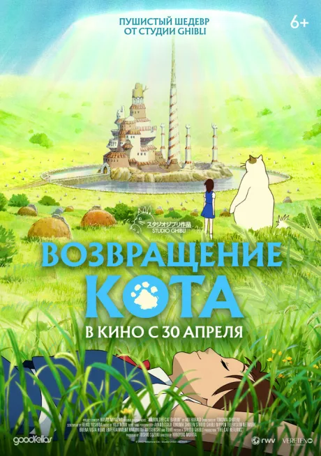 Возвращение кота